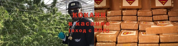 ГАЛЛЮЦИНОГЕННЫЕ ГРИБЫ Инсар