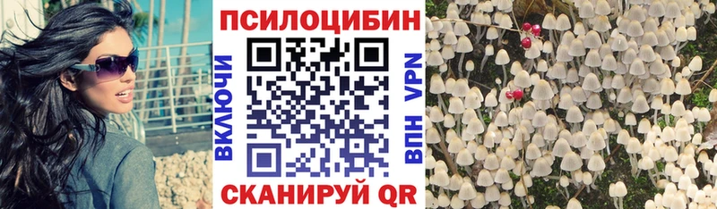 хочу   mega маркетплейс  Псилоцибиновые грибы Cubensis  Кодинск 